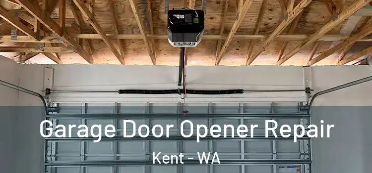  Garage Door Opener Repair Kent - WA