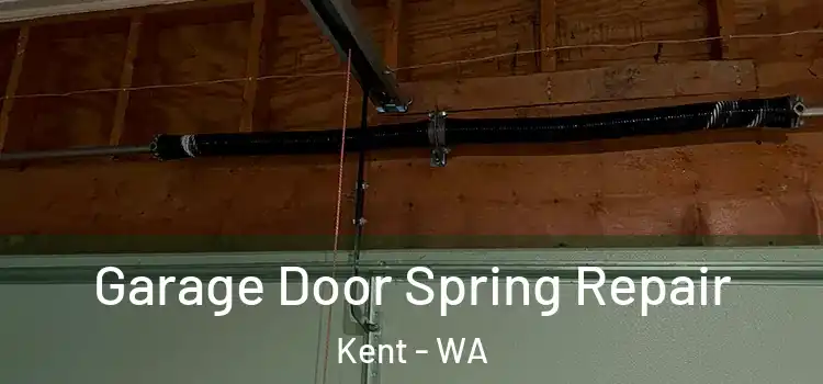 Garage Door Spring Repair Kent - WA