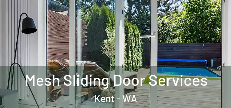 Mesh Sliding Door Services Kent - WA