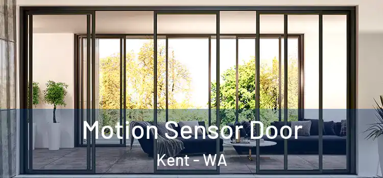 Motion Sensor Door Kent - WA